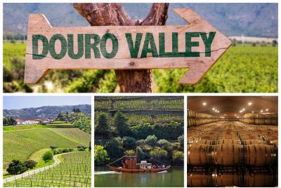 Excursión al Valle del Duero: cata de vinos, crucero por el río y