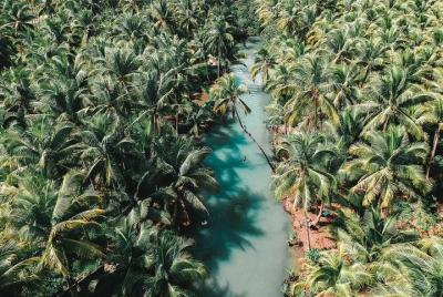 Excursión de salto a la isla de Siargao D