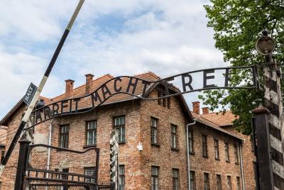 Desde Cracovia: tour en grupo pequeño a Auschwitz y Birkenau