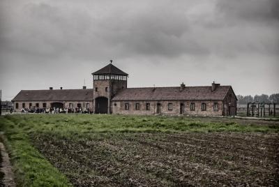 Auschwitz Birkenau Visita individual en minivan con traslado al h