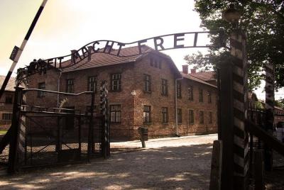 Visita guiada de Auschwitz y Birkenau desde Cracovia con entradas