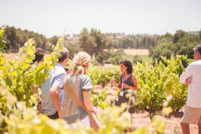 Excursión a Montserrat desde Barcelona con almuerzo y cata de vin Excursión a Montserrat desde Barcelona con almuerzo y cata de vin
