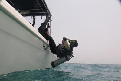 Descubre el buceo Descubre el buceo