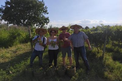 ¡La experiencia de vino local más auténtica en Kakheti, desde Tbi ¡La experiencia de vino local más auténtica en Kakheti, desde Tbi
