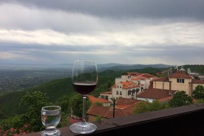 Excursión privada de un día a vino ecológico a la región vinícola Excursión privada de un día a vino ecológico a la región vinícola