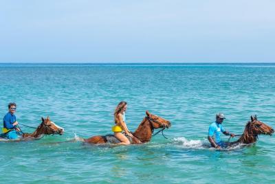 Dunn Dunn's River Falls Climb plus Ziplines, ATV, Horse Ride & Swim fr