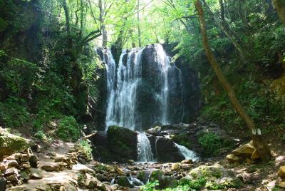 Excursión de día completo a Strumica desde Skopje