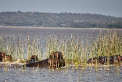 Excursión guiada de 2 días a la reserva especial de Maputo