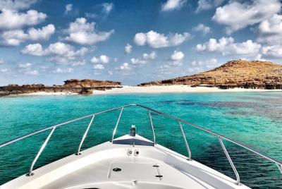 Cruceros a Daymaniyat y Snorkel