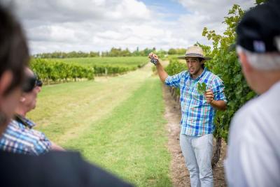 Excursión en Montevideo y cata de vinos: Para pasajeros de crucer Excursión en Montevideo y cata de vinos: Para pasajeros de crucer