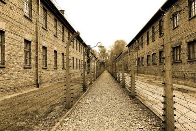 Auschwitz- Birkenau, tour en alemán desde Cracovia