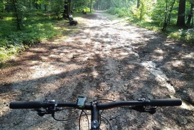 Ciclismo de montaña al bosque de Las Wolski de Cracovia
