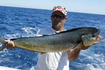 Big Game Fishing cerca de Albufeira