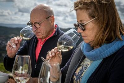 Cata de vinos de selección en la finca Vinho Verde Quinta de Sant