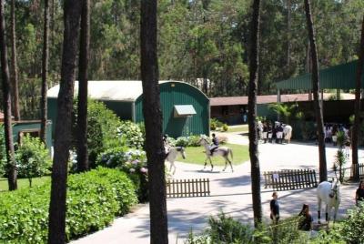 ¡Paseo a caballo! ¡Lugar hermoso, personal excepcional y experien ¡Paseo a caballo! ¡Lugar hermoso, personal excepcional y experien