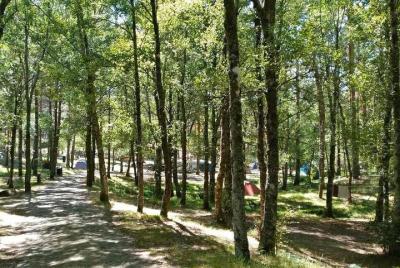 Aventura de árboles y toboganes en Lamas de Mouro en PNPG