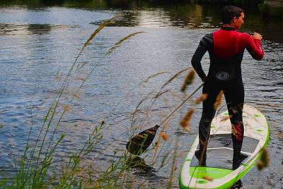 Paleta estrella Paleta estrella
