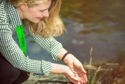 Zorro Zúrich Ikarus