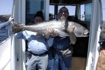 Open Fishing Tour desde Lisboa Open Fishing Tour desde Lisboa