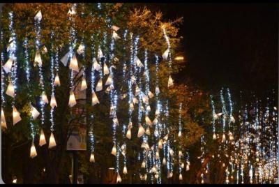 Luces navideñas en un recorrido por TUKTUK