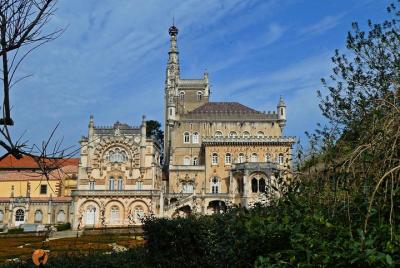 Una aventura por la Villa del Luso y Mata del Bussaco - Coimbra Una aventura por la Villa del Luso y Mata del Bussaco - Coimbra