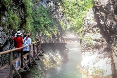 Escapada de un día al lago de Bled desde Liubliana Escapada de un día al lago de Bled desde Liubliana