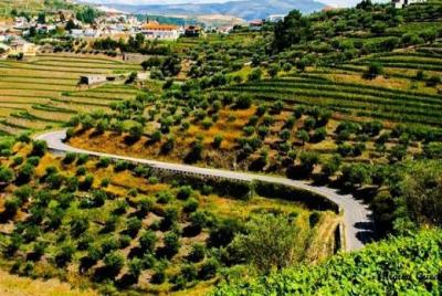 Lugares turísticos en Peso Da Régua Cosas que hacer en Peso Da Régua 77908