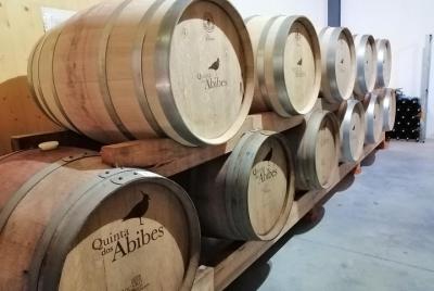 Ciclismo Viñedos Rota da Bairrada 23km