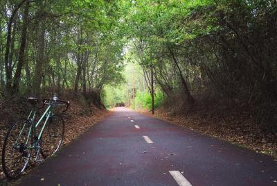 Vía Verde del Dão - Bicla Tour