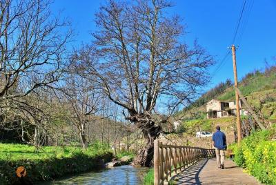 Un recorrido entre cascadas de esquisto y pueblos, Piodão (día co Un recorrido entre cascadas de esquisto y pueblos, Piodão (día co