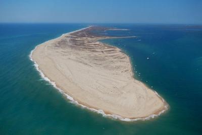 Paseo en barco de 3h30 por las islas de Ria Formosa (Culatra y De Paseo en barco de 3h30 por las islas de Ria Formosa (Culatra y De