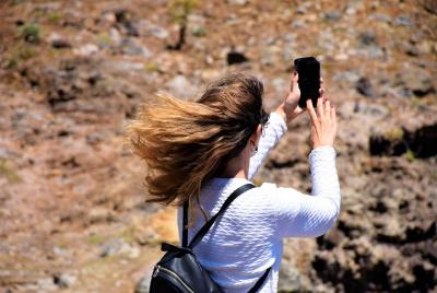 Día completo - Madeira East