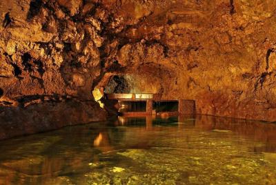 Tour Noreste de la Isla