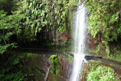 Levada del Rey / Ribeiro Bonito Levada del Rey / Ribeiro Bonito