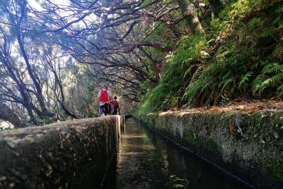 Rabaçal / 25 Fuentes