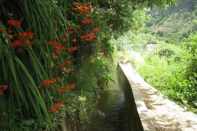 Valle de Serra D'Água - Levada Walk