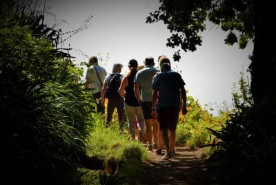 Paseo de la belleza de Paradise Valley