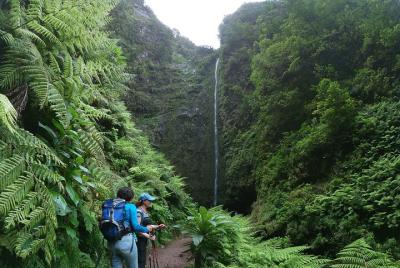 Paseo por Madeira Levada - Caldeirao Verde