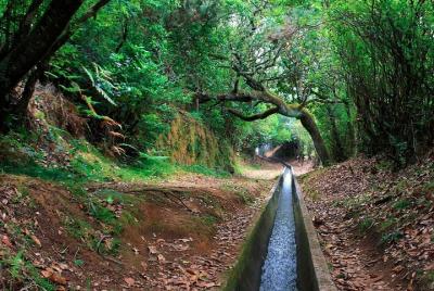 Paseo Levada desde Ribeiro Frio a Portela