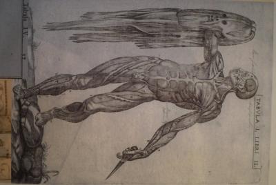 Una perspectiva más oscura, un oscuro y horrible paseo por la ciu