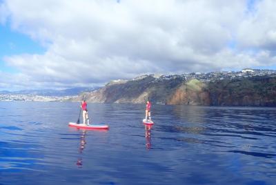 Garajau Nature Sea Reserve SUP Tour (Paddleboard)