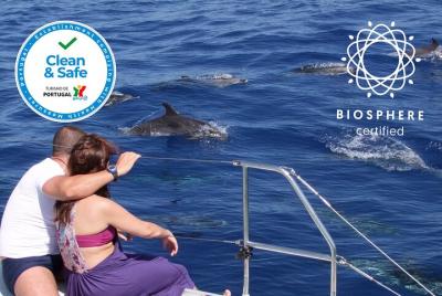 Increíble Skywalk, acantilados y valles en tour 4x4 + observación