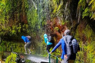 Levada Walk Madeira - Levada do Rei / Ribeiro Bonito En pequeños 