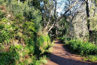 Paradise Valley - Camacha Paradise Valley - Camacha