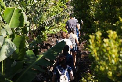Banana Trip, un día completo en Pico con viaje de ida y vuelta de Banana Trip, un día completo en Pico con viaje de ida y vuelta de