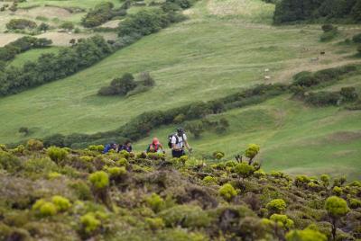 Senderismo por el sendero de los 10 volcanes en la isla de Faial Senderismo por el sendero de los 10 volcanes en la isla de Faial