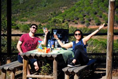 Visita guiada privada de día completo por el Algarve