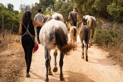 Santuario de caballos: un paseo con caballos y potros rescatados