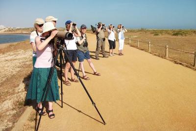 Medio día de observación de aves en las dunas de Alvor.