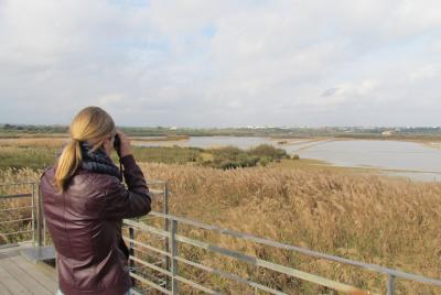 Observación de aves por la tarde en Lagoa dos Salgados.